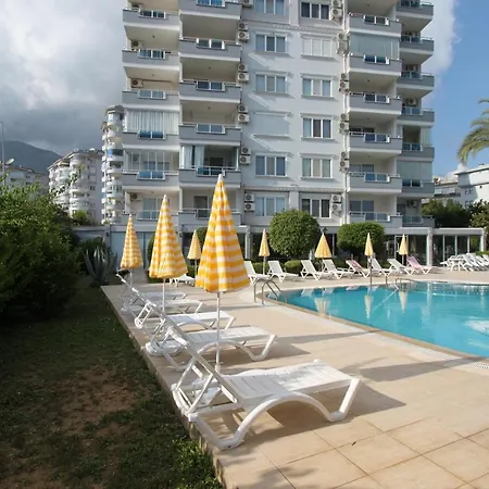 Lemon Garden B